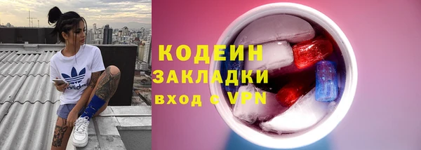 гашик Бородино