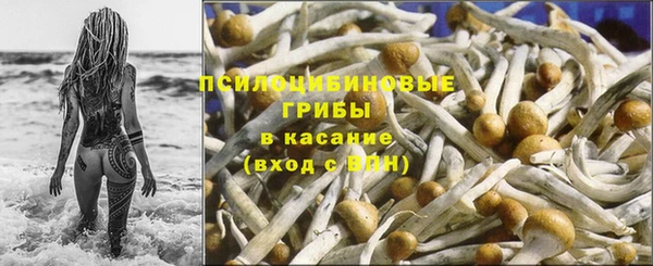 гашик Бородино
