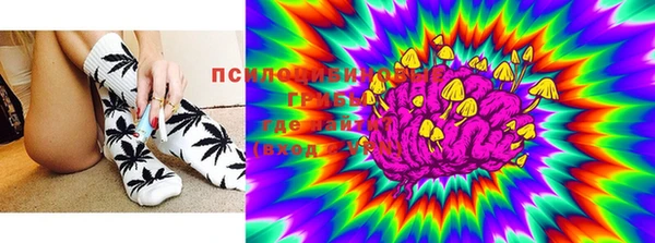 гашик Бронницы