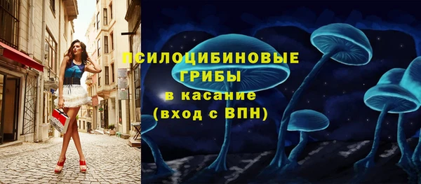 гашик Бородино