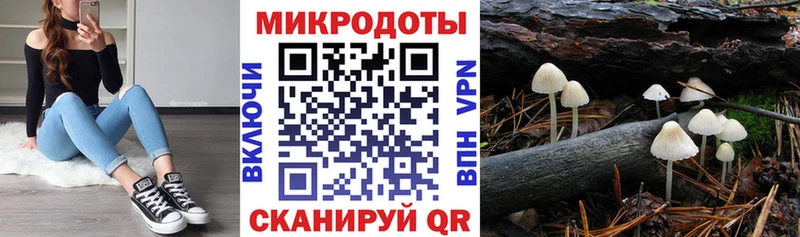 Галлюциногенные грибы мицелий  Высоковск 